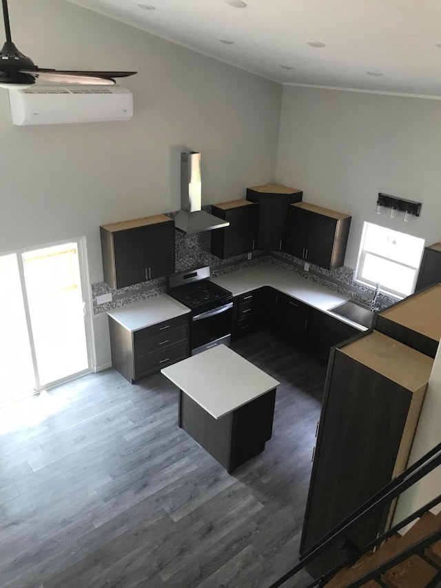 kitchen with stainless steel electric stove, dark wood-type flooring, range hood, sink, and a center island