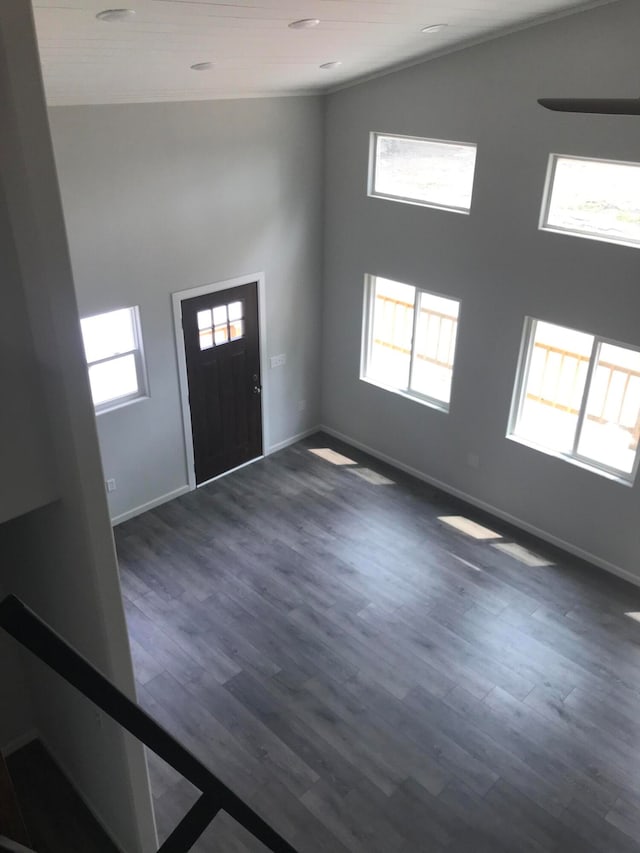 entrance foyer featuring dark hardwood / wood-style flooring and a healthy amount of sunlight