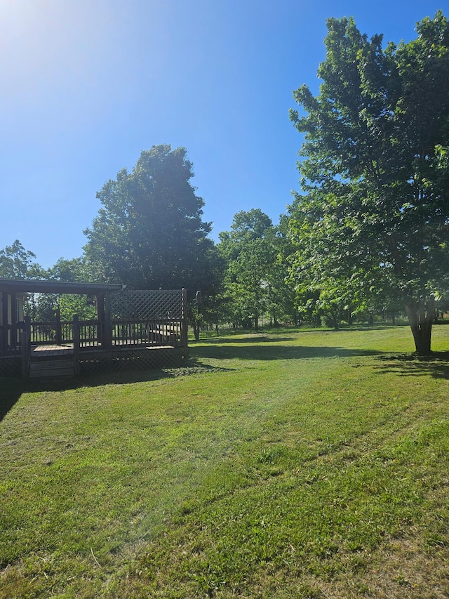 7186 US Highway 60, Mountain View, MO 65548 - view of green lawn