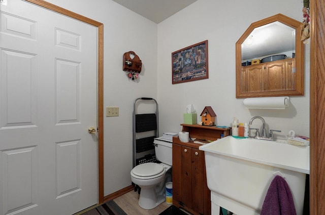 bathroom featuring vanity, toilet, and wood-type flooring