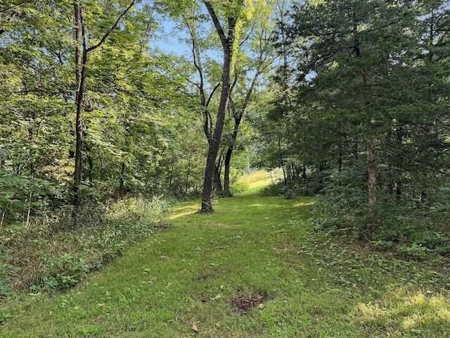 view of local wilderness