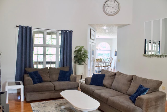 living room with plenty of natural light and hardwood / wood-style floors