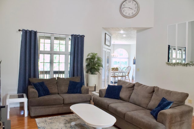 living room with wood finished floors and a high ceiling