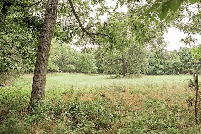 view of landscape with a wooded view