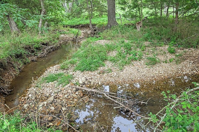 view of nature