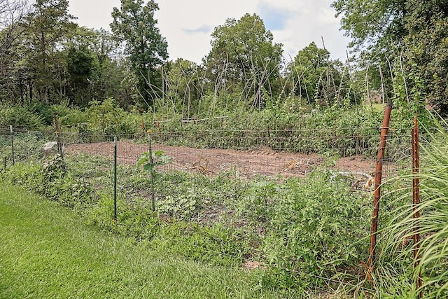 view of local wilderness