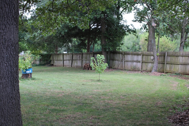 view of yard