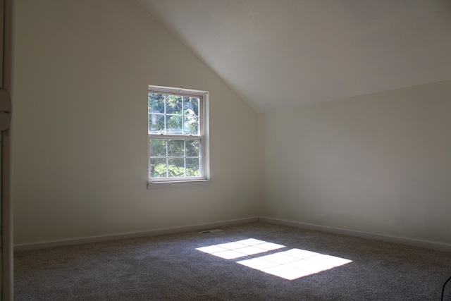 additional living space featuring lofted ceiling and carpet flooring