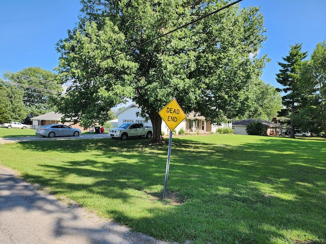 view of yard