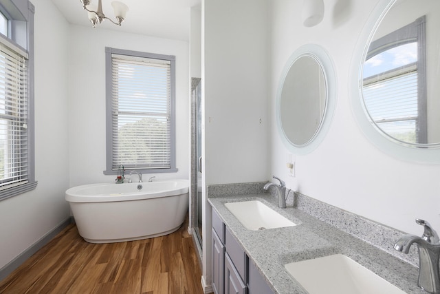 bathroom with a washtub, vanity, and wood-type flooring