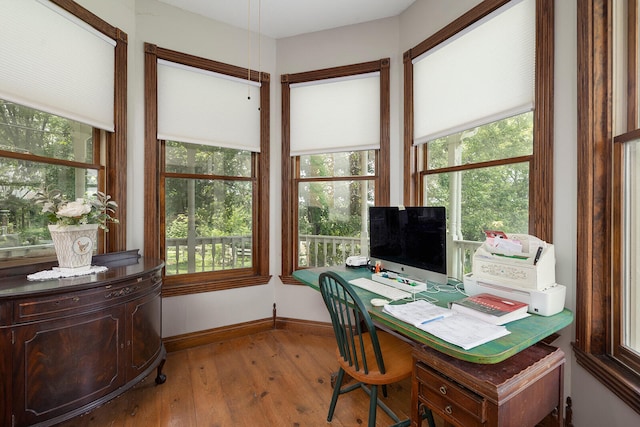 office area featuring wood-type flooring