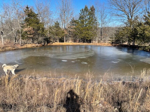 view of water feature