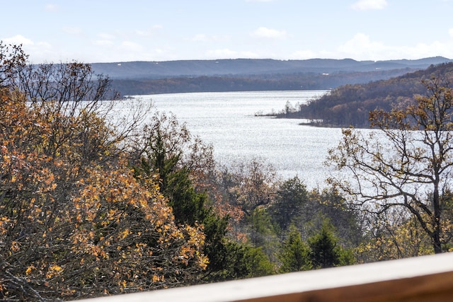 view of water feature with a mountain view