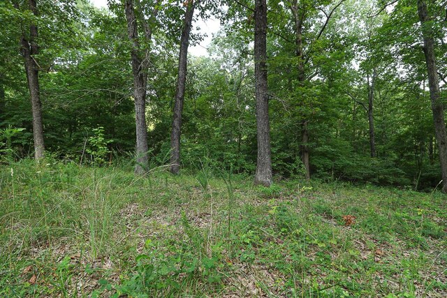 000 Driftwood Dr, Stover, MO 65078