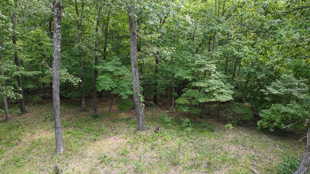 000 Driftwood Dr, Stover, MO 65078