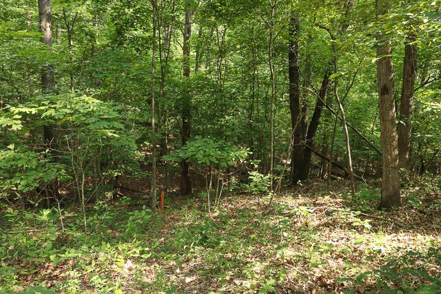000 Driftwood Dr, Stover, MO 65078