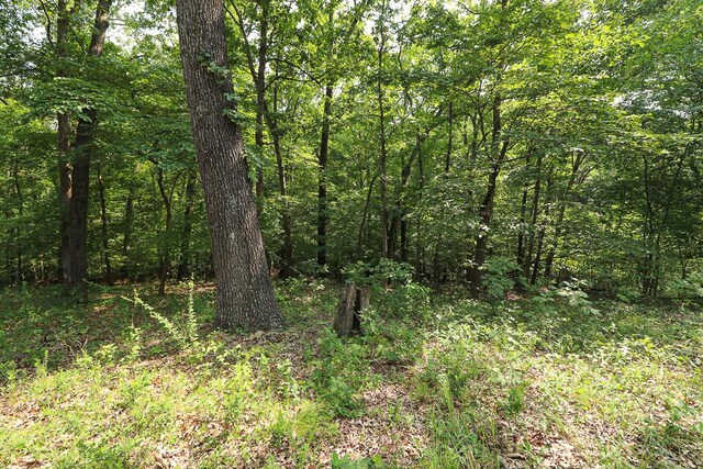000 Driftwood Dr, Stover, MO 65078