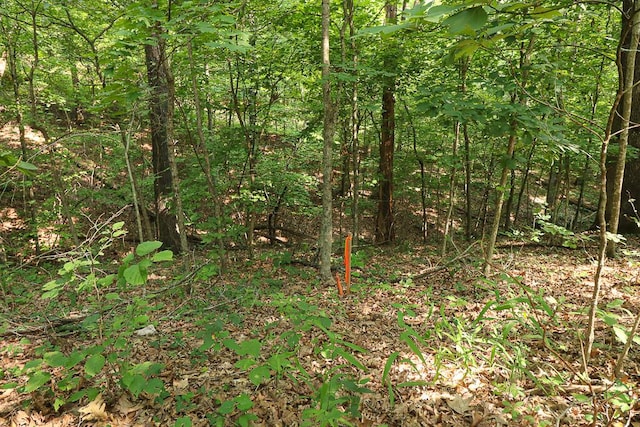 000 Driftwood Dr, Stover, MO 65078