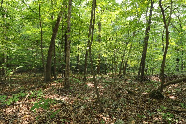 000 Driftwood Dr, Stover, MO 65078
