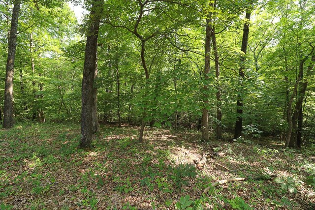 000 Driftwood Dr, Stover, MO 65078