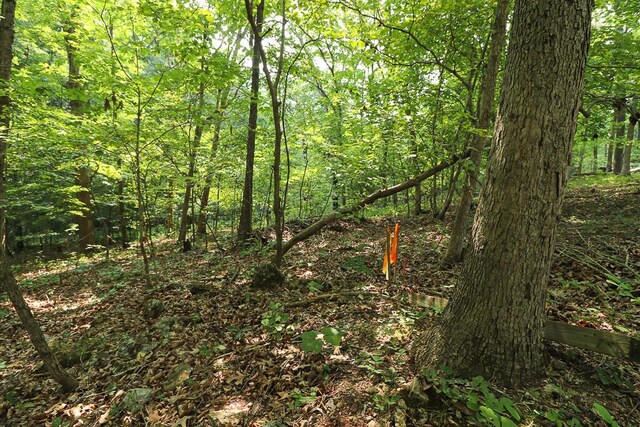 000 Driftwood Dr, Stover, MO 65078