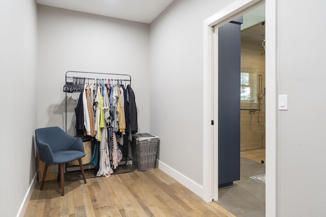 walk in closet featuring light hardwood / wood-style floors