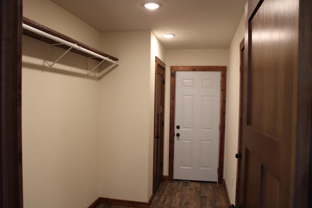 410 Park St, Taneyville, MO 65759 - spacious closet with dark wood-type flooring