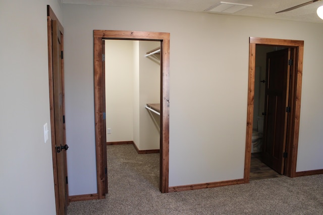 410 Park St, Taneyville, MO 65759 - hall with carpet flooring and baseboards