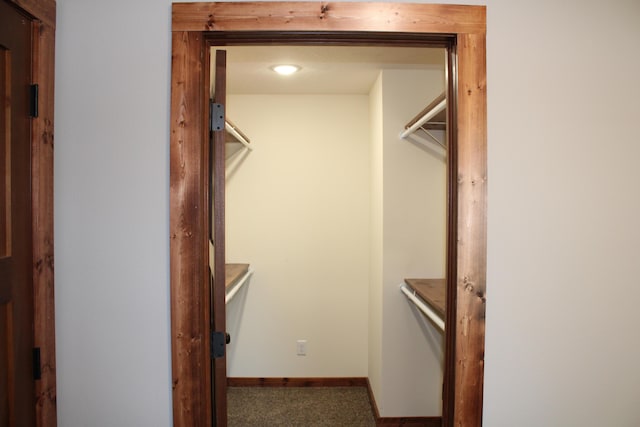 410 Park St, Taneyville, MO 65759 - spacious closet featuring carpet flooring