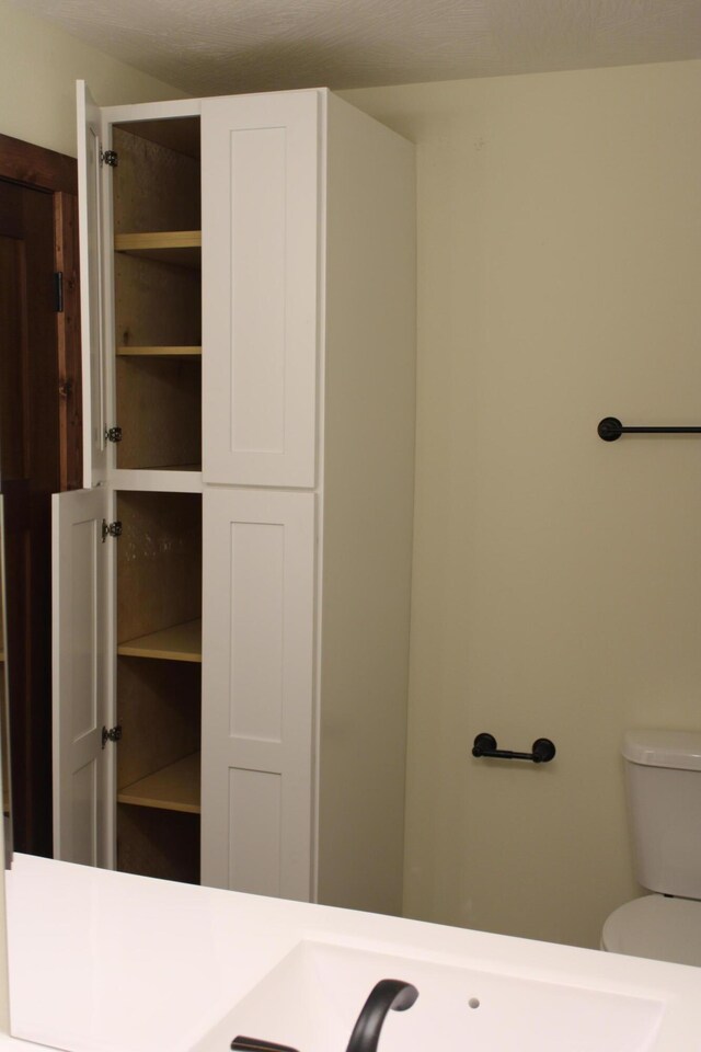 410 Park St, Taneyville, MO 65759 - view of closet