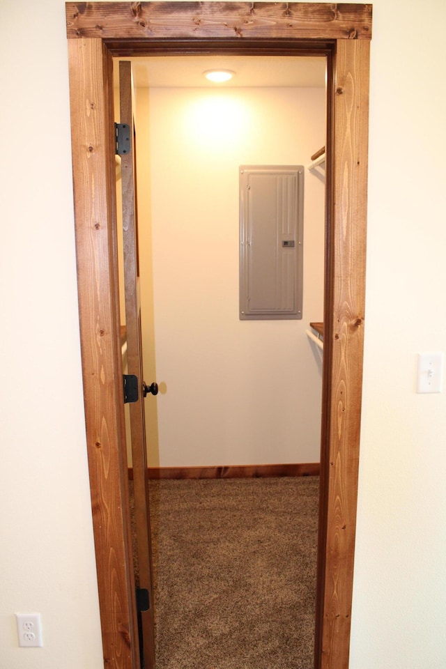 430 Park St, Taneyville, MO 65759 - hallway with electric panel, carpet flooring, and baseboards