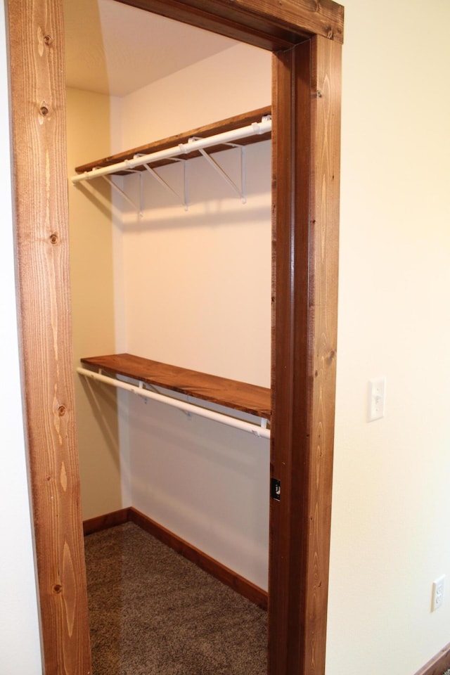430 Park St, Taneyville, MO 65759 - view of closet