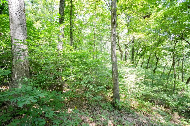000 Wood Thrush Ln, Ozark, MO 65721