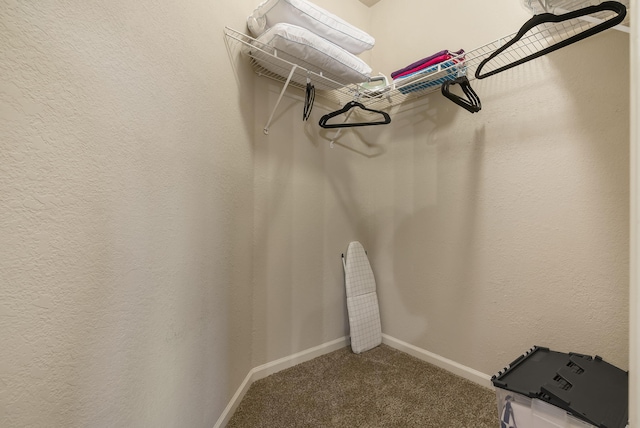 walk in closet with carpet floors