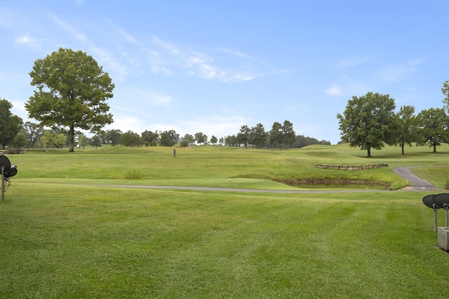 view of community with a yard