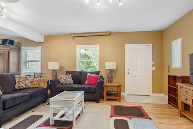 living room featuring light wood-type flooring and plenty of natural light