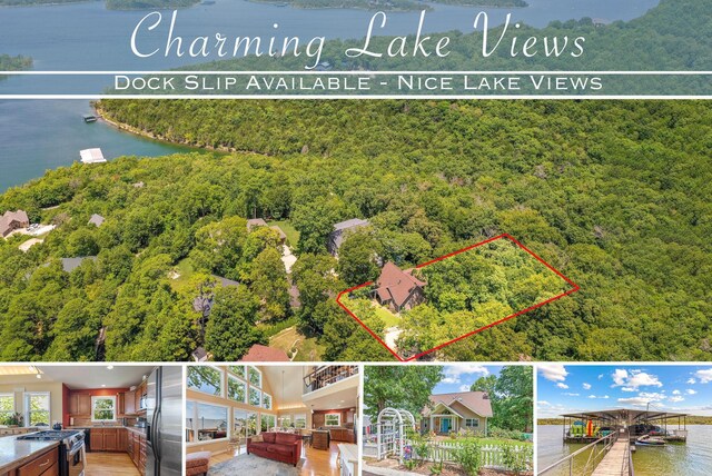 89 Turkey Trl, Blue Eye, MO 65611 - aerial view with a view of trees and a water view