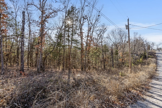 LOT39 Driftwood Rd, Merriam Woods, MO 65740 - photo 4