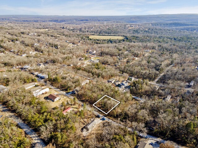 LOT39 Driftwood Rd, Merriam Woods, MO 65740 - photo 2