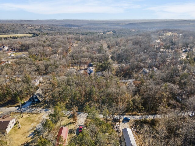 LOT39 Driftwood Rd, Merriam Woods, MO 65740 - photo 6