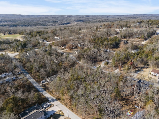 LOT39 Driftwood Rd, Merriam Woods, MO 65740 - photo 7
