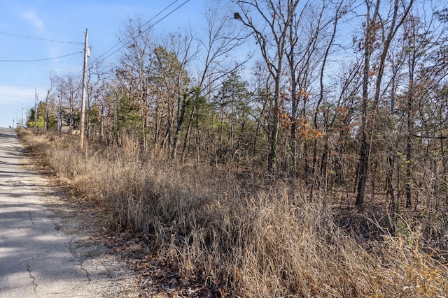 Listing photo 3 for LOT39 Driftwood Rd, Merriam Woods MO 65740