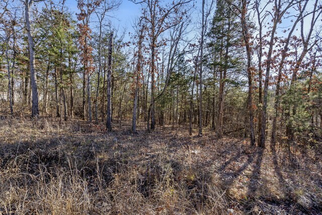 LOT39 Driftwood Rd, Merriam Woods, MO 65740 - photo 5