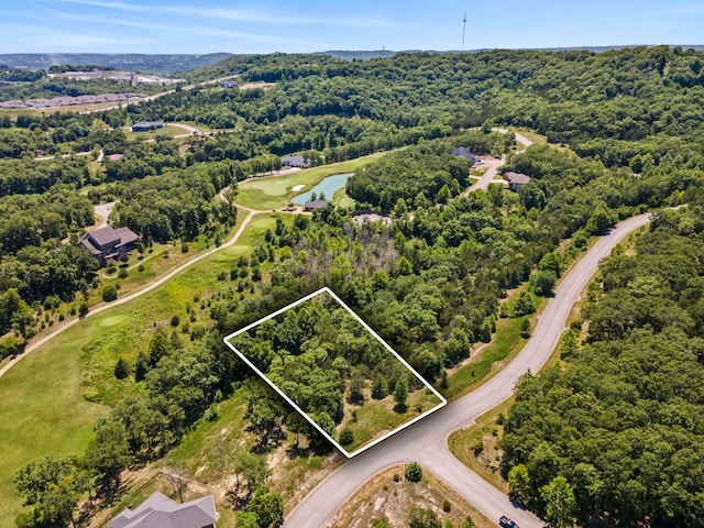 27 Winged Foot Dr, Branson, MO 65616