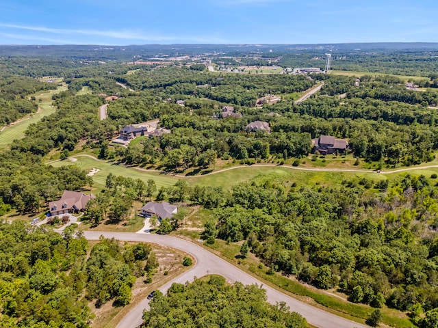 27 Winged Foot Dr, Branson, MO 65616