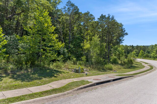 57 Royal Dornoch Dr, Branson, MO 65616