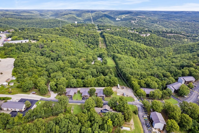 bird's eye view with a forest view