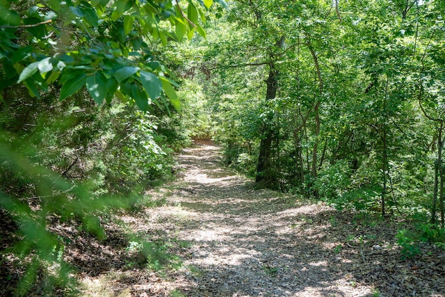view of local wilderness with a forest view