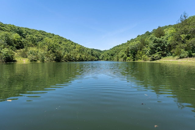view of water feature with a view of trees