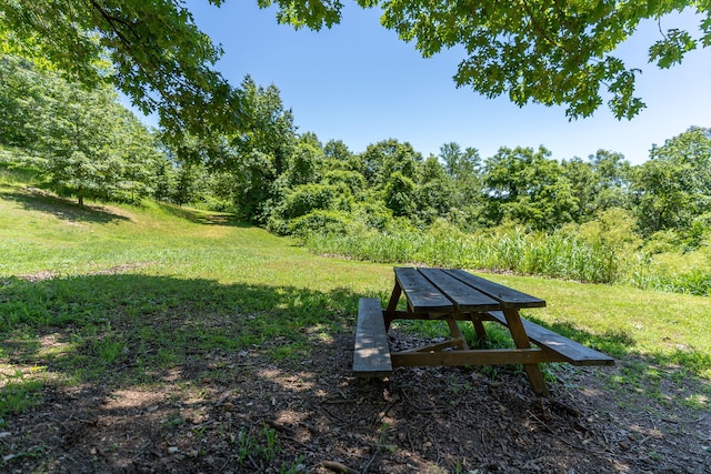 view of community featuring a lawn